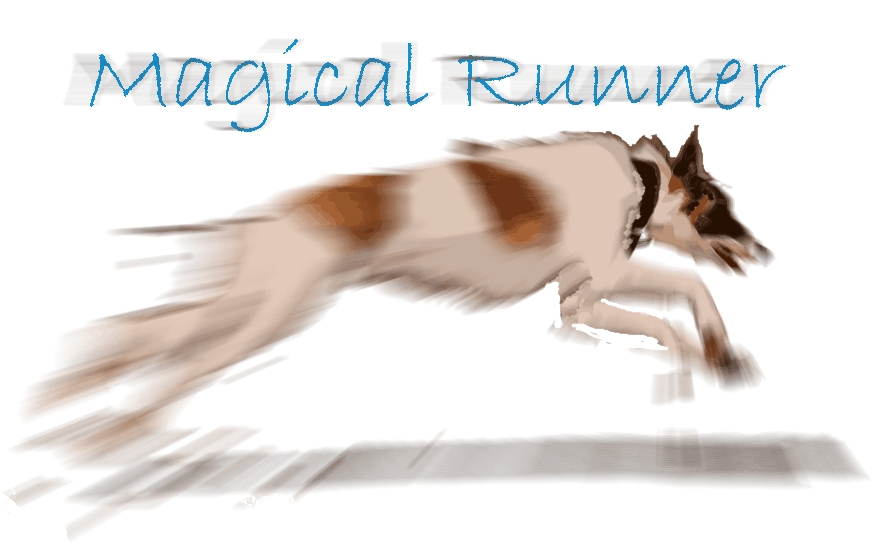(c) Magical-runner.de